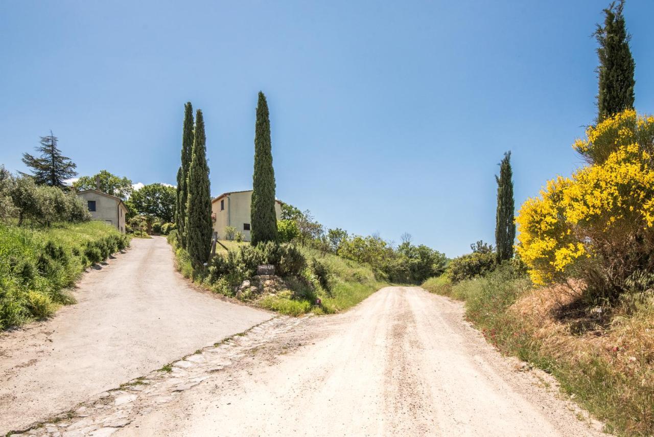 Appartamento Gemma Bianca-Tavoleto Castiglione d'Orcia Bagian luar foto